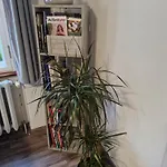 Ines Wolf In Der Meissner Innenstadt Meißen