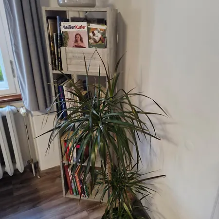 Ines Wolf In Der Meissner Innenstadt Meißen