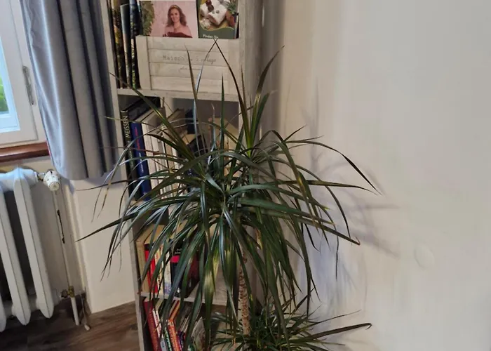 Ines Wolf In Der Meissner Innenstadt Мейсен